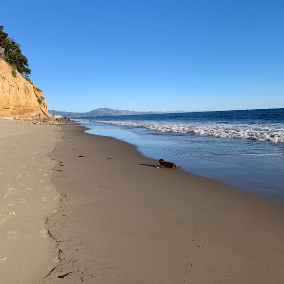 Meet your Posher, Elim - Picture 2 of 13